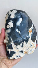 Load and play video in Gallery viewer, Orca Agate XL
