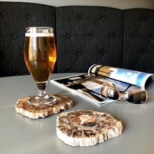 Ladda upp bild till gallerivisning, Förstenad träplatta