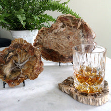 Ladda upp bild till gallerivisning, Förstenad träplatta