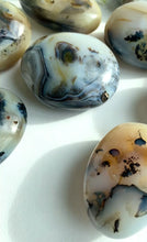 Load and play video in Gallery viewer, Dendritic Agate Palmstones
