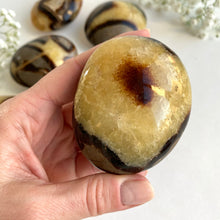 Ladda upp bild till gallerivisning, Septarian Jumbo Stone