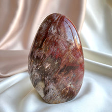 Load image into Gallery viewer, Petrified Wood Form