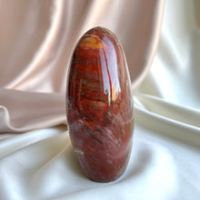 Load image into Gallery viewer, Petrified Wood Form