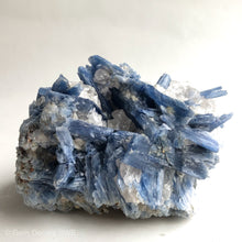 Load image into Gallery viewer, Blue Kyanite Cluster Large