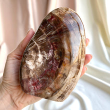 Load image into Gallery viewer, Petrified Wood Form