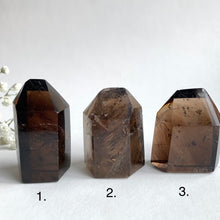 Ladda upp bild till gallerivisning, Morion Quartz Tower, Litet