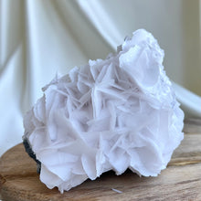 Load image into Gallery viewer, Petal-Bladed White Calcite Cluster #3