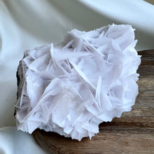 Load image into Gallery viewer, Petal-Bladed White Calcite Cluster #2
