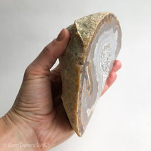 Load image into Gallery viewer, Agate