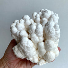 Load image into Gallery viewer, Calcite Cluster XL