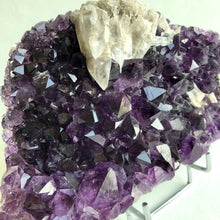 Load image into Gallery viewer, Amethyst Cluster XL, on a stand