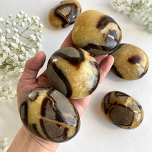 Ladda upp bild till gallerivisning, Septarian Jumbo Stone