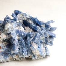 Load image into Gallery viewer, Blue Kyanite Cluster Large