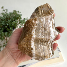 Ladda upp bild till gallerivisning, Ocean Jasper Flame #3