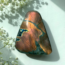 Ladda upp bild till gallerivisning, Solnedgångslabradorit polerad form, XL