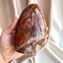 Load image into Gallery viewer, Petrified Wood Form