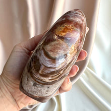 Load image into Gallery viewer, Petrified Wood Form