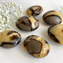 Ladda upp bild till gallerivisning, Septarian Jumbo Stone