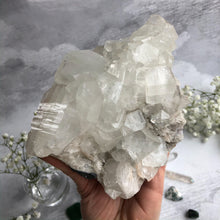 Load image into Gallery viewer, Apophyllite Cluster