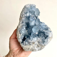 Load image into Gallery viewer, Celestite Cluster XXL