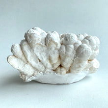Load image into Gallery viewer, Calcite Cluster XL