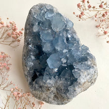Load image into Gallery viewer, Celestite Cluster XXL