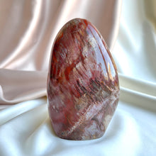 Load image into Gallery viewer, Petrified Wood Form