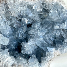 Load image into Gallery viewer, Celestite Geode  XL
