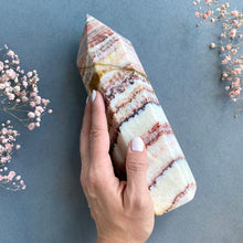 Ladda upp bild till gallerivisning, Dali Jasper Point XL, 1900 g