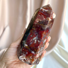 Ladda upp bild till gallerivisning, Röda havet Jasper Tower #2