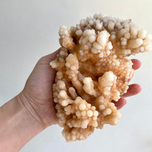 Load image into Gallery viewer, Aragonite cluster, 886g