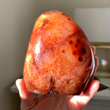 Ladda upp bild till gallerivisning, Karneol polerad form, stor