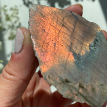 Load image into Gallery viewer, Sunset Labradorite Slab