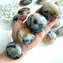 Ladda upp bild till gallerivisning, Dendritiska agatpalmstenar