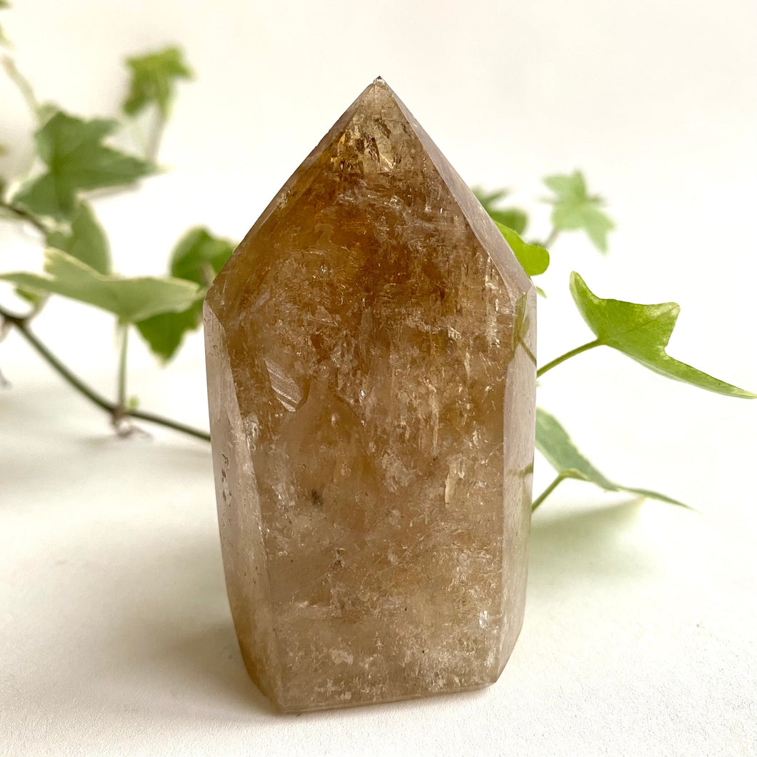 Natural Citrine Crystal Point, #2