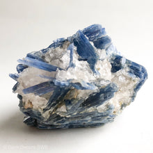 Load image into Gallery viewer, Blue Kyanite Cluster Large