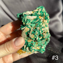 Load image into Gallery viewer, Silky Malachite Cluster, Medium