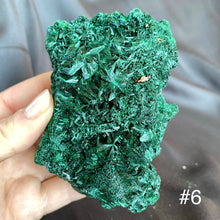Load image into Gallery viewer, Silky Malachite Cluster, Medium