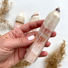 Ladda upp bild till gallerivisning, Dali Jaspisspetsar, 11-13 cm