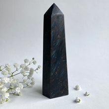 Ladda upp bild till gallerivisning, Astrofyllitpunkt #2