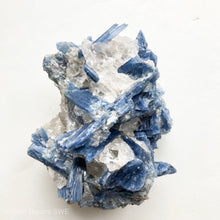 Load image into Gallery viewer, Blue Kyanite Cluster Large