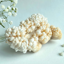 Load image into Gallery viewer, Aragonite cluster, 908g
