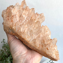 Load image into Gallery viewer, Tangerine Quartz Cluster Large