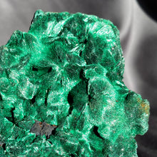 Load image into Gallery viewer, Silky Malachite Cluster, Medium