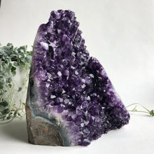 Load image into Gallery viewer, Amethyst Standing Druzy XL, 2780g