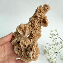 Load image into Gallery viewer, Desert Rose on a stand, #3
