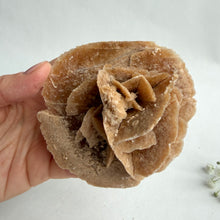 Load image into Gallery viewer, Desert Rose #8
