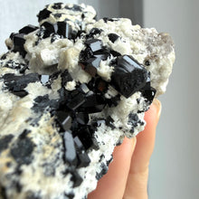 Ladda upp bild till gallerivisning, Black Tourmaline (collector grade)
