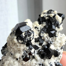 Ladda upp bild till gallerivisning, Black Tourmaline (collector grade)
