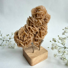 Load image into Gallery viewer, Desert Rose on a stand, #4
